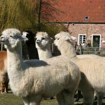 Apartamento Ferienapartment Alpakas Am Schloss *