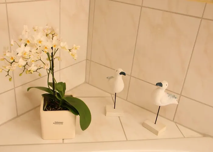 Апартаменты Ferienapartment Alpakas Am Schloss Хамминкельн