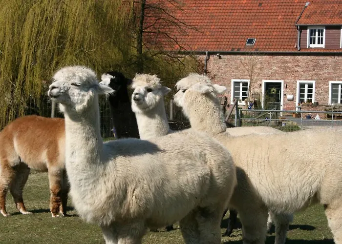 Lejlighed Ferienapartment Alpakas Am Schloss *